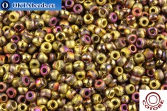COTOBE Beads Ancent Gold and Sunset Mat (J094) 11/0