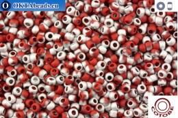 COTOBE Beads Brick-red and Silver Mat (J050) 11/0 CTBJ050