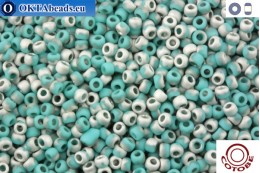 COTOBE Beads Green Turquoise and Silver Mat (J045) 11/0
