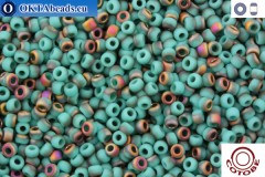COTOBE Beads Green Turquoise and Sunset Mat (J044) 11/0