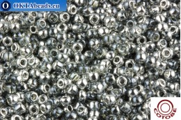 COTOBE Beads Grey and Silver (J082) 11/0 CTBJ082