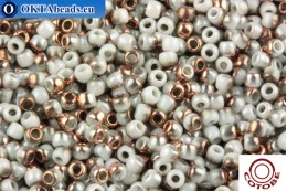 COTOBE Beads Grey Mist and Copper (J084) 11/0
