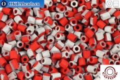 COTOBE Beads dvoukrátky Brick-red and Silver Mat (06070M) 11/0, 10g
