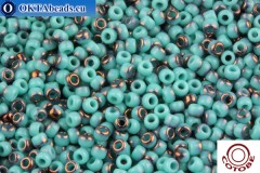 COTOBE Beads Turquoise and Bronze (J069) 11/0