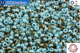 COTOBE Beads Turquoise and Old Bronze (J008) 11/0 CTBJ008