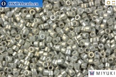 MIYUKI Beads Delica Galvanized Grey Lustr (DB251) 11/0