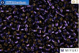 MIYUKI Beads Delica Silver Lined Dark Purple 11/0 (DB609)