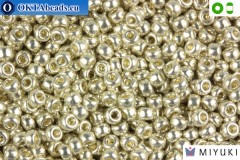 MIYUKI Beads Galvanized Silver 8/0 (1051)
