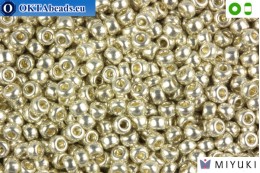 MIYUKI Beads Galvanized Silver 8/0 (1051) 8MR1051