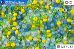 MIYUKI Beads Mix Lagoon 11/0 (mix06)