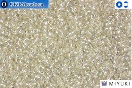 MIYUKI Beads Silver Lined Crystal 15/0 (1) 15MR1