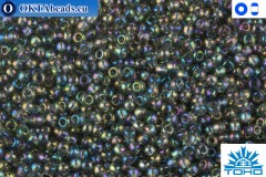 TOHO Beads Trans-Rainbow Gray (176B) 11/0