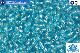TOHO Beads Silver-Lined Aquamarine (23) 11/0 TR-11-23