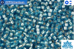 TOHO Beads Silver-Lined Frosted Dark Aquamarine (23BF) 11/0 TR-11-23BF