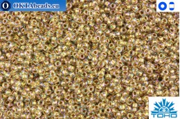 TOHO Beads Gold-Lined Rainbow Crystal (994) 15/0