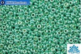 TOHO Beads Demi Round PermaFinish Galvanized Green Tea (PF561) 11/0, 5gr TN-11-PF561