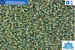 TOHO Beads Gold-Lined Aqua (990) 11/0