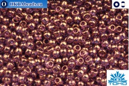 TOHO Beads Gold-Lustered Lilac (202) 11/0 TR-11-202
