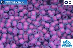 TOHO Beads Inside-Color Frosted Aqua/Purple Lined(252FM) 11/0