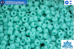 Toho Beads Opaque-Frosted Turquoise (55F) 11/0