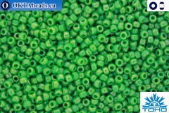 TOHO Beads Opaque-Rainbow Mint Green (407) 11/0