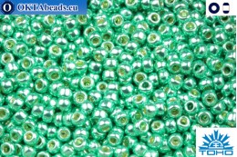 TOHO Beads Permanent Finish - Galvanized Green Teal (PF561) 11/0 TR-11-PF561