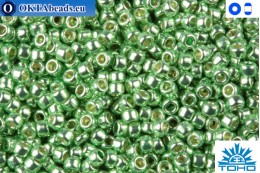 TOHO Beads Permanent Finish - Galvanized Sea Foam (PF560) 11/0 TR-11-PF560