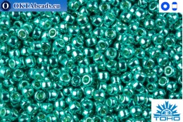 TOHO Beads Permanent Finish Galvanized Teal (PF569) 11/0 TR-11-PF569