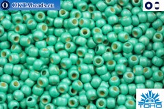 TOHO Beads Permanent Finish - Matte Galvanized Green Teal (PF561F) 11/0