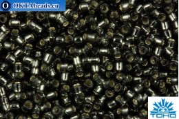 TOHO Beads Round Dark Black Diamond Silver Lined Matte (29C) 15/0 TR-15-29C