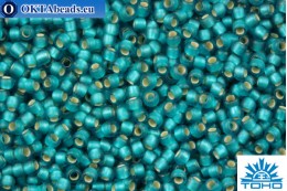 TOHO Beads Round Green Aqua Silver Lined Matte (23BDF) 11/0 TR-11-23BDF