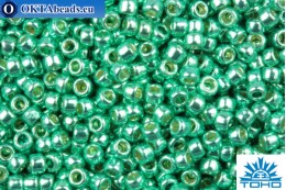 TOHO Beads Round PermaFinish Aqua Galvanized (PF561) 15/0 TR-15-PF561