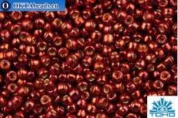 TOHO Beads Round PermaFinish Cabernet Galvanized (PF564) 15/0 TR-15-PF564