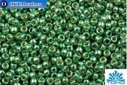 TOHO Beads Round PermaFinish Galvanized Jade Green (PF589) 11/0