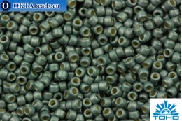 TOHO Beads Round PermaFinish Galvanized Matte (PF565F) 15/0 TR-15-PF565F