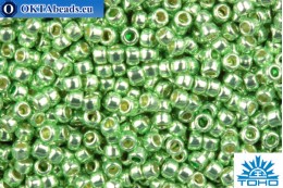 TOHO Beads Round PermaFinish Lime Galvanized (PF560) 15/0 TR-15-PF560
