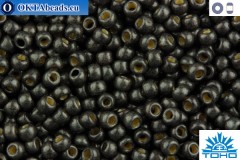 TOHO Beads Round Permafinish Matte Galvanized Cool Gray (PF595F) 11/0