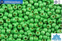 TOHO Beads Round Permafinish Matte Galvanized Green Apple (PF587F) 11/0 TR-11-PF587F
