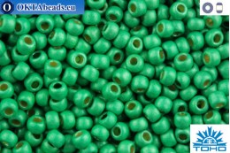 TOHO Beads Round Permafinish Matte Galvanized Spring Green (PF588F) 11/0 TR-11-PF588F