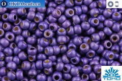 TOHO Beads Round Permafinish Matte Galvanized Violet (PF581F) 11/0