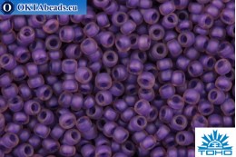 TOHO Beads Round Purple Lined Amethyst Matte (928F) 15/0 TR-15-928F