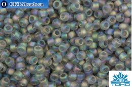 TOHO Beads Round Transparent-Rainbow-Frosted Lt Gray (176F) 11/0