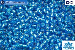 TOHO Beads Silver-Lined Aquamarine (23C) 11/0 TR-11-23C