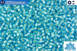 TOHO Beads Silver-Lined Frosted Aquamarine (23F) 11/0 TR-11-23F