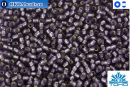 TOHO Beads Silver-Lined Frosted Lt Tanzanite (39F) 11/0
