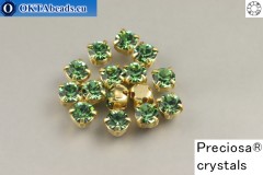 WH Chaton Preciosa Maxima Erinite - gold ss16, ~360pc